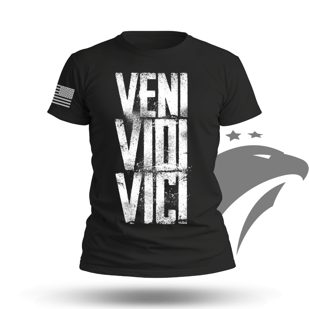Veni Vidi Vici Men's T-shirt
